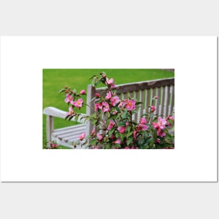 Pink Flowers By The Bench Posters and Art